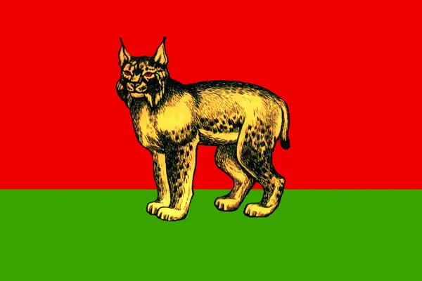 Флаг: Турковский район